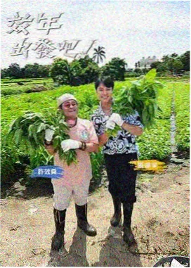 韩国我独自生活综艺